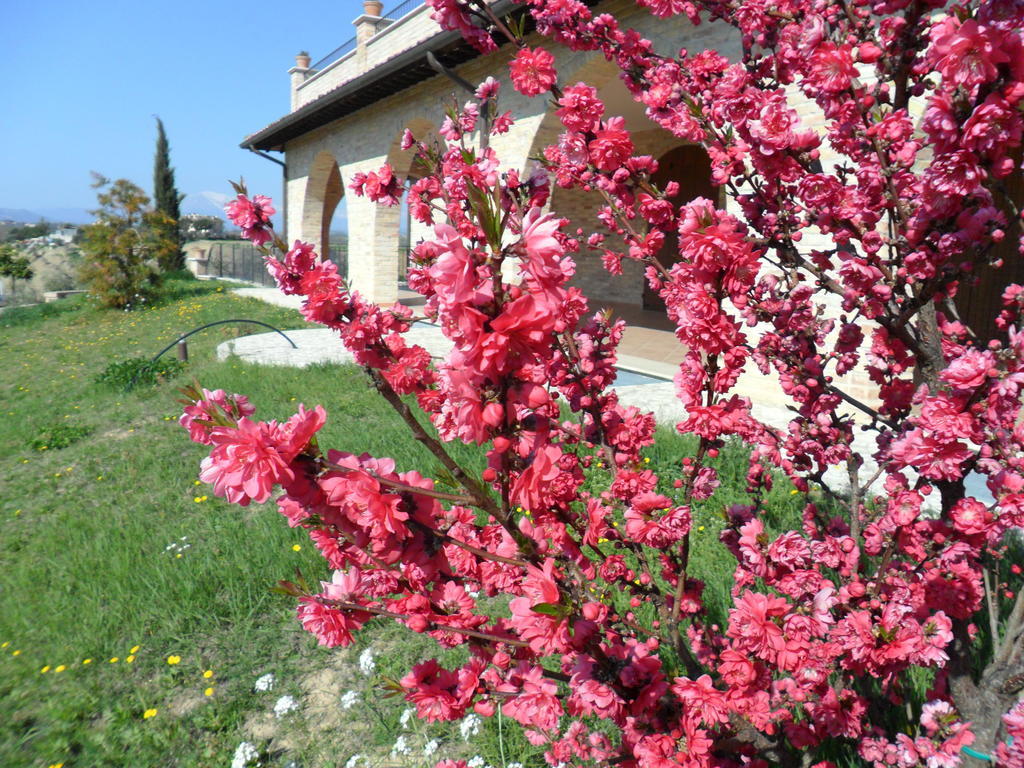 Agriturismo Alla Solagna Colli del Tronto Exterior foto